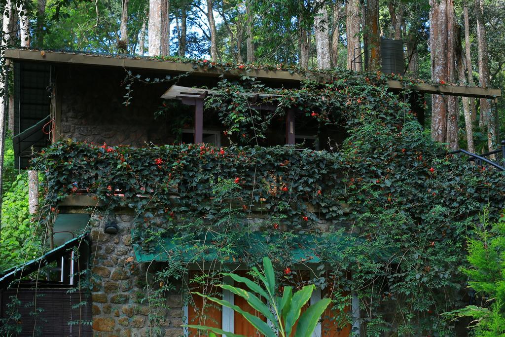 Greenspaces B&B Munnar Exterior photo