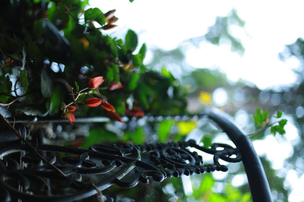 Greenspaces B&B Munnar Exterior photo