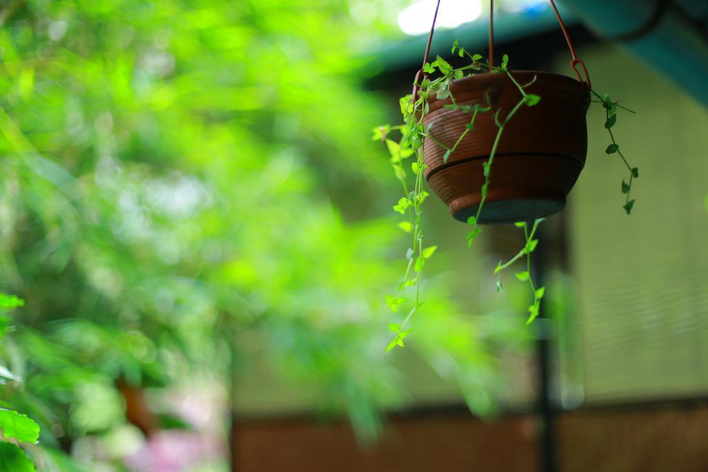 Greenspaces B&B Munnar Exterior photo