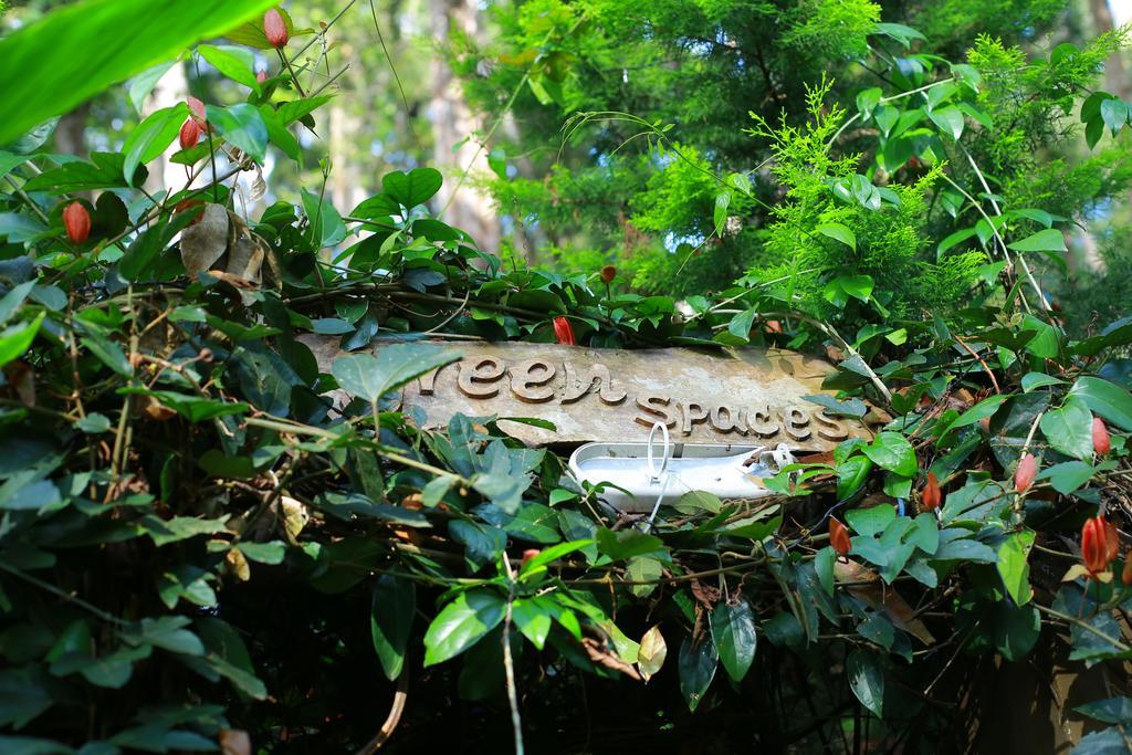 Greenspaces B&B Munnar Exterior photo
