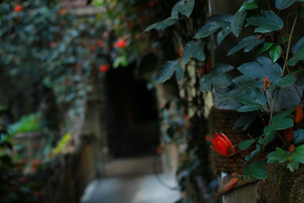 Greenspaces B&B Munnar Exterior photo