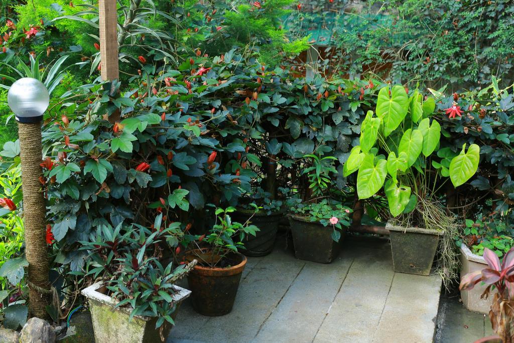 Greenspaces B&B Munnar Exterior photo