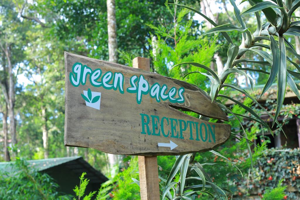 Greenspaces B&B Munnar Exterior photo