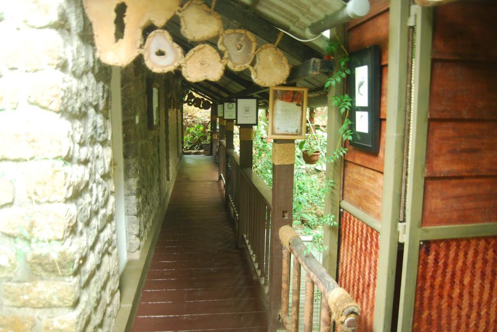 Greenspaces B&B Munnar Exterior photo