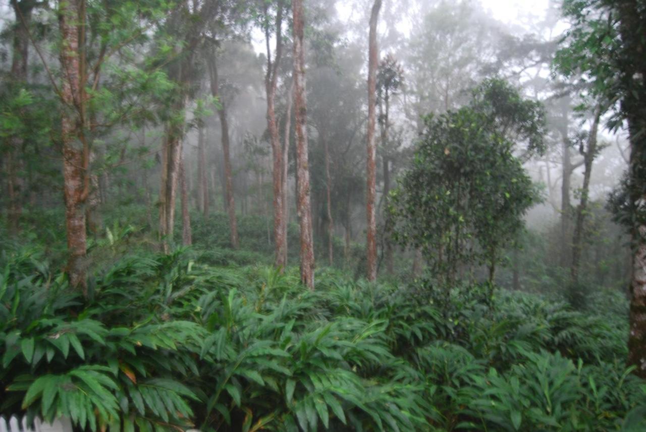 Greenspaces B&B Munnar Exterior photo